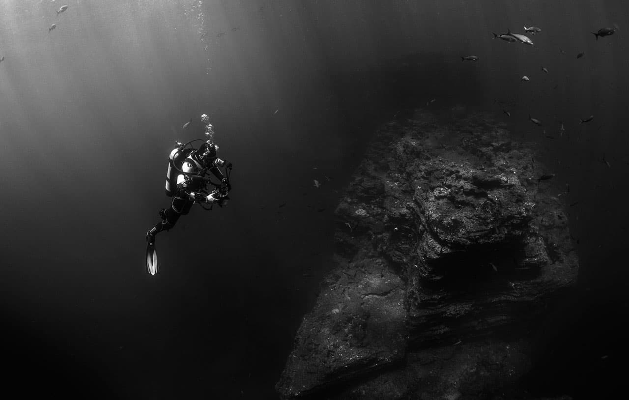 Cuba Diver Being Curious